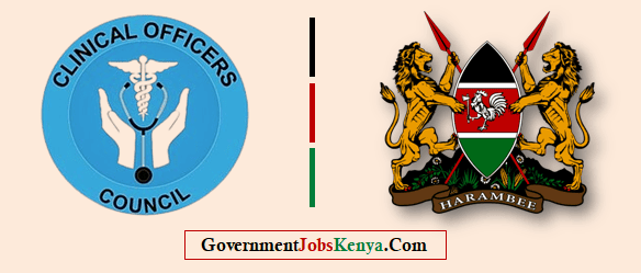 Chief Executive Officer
